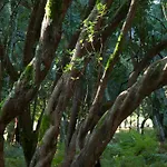 Quinta Do Sobral Hétvégi ház