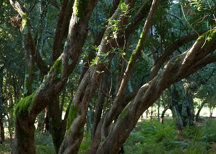 Quinta Do Sobral カントリーハウス