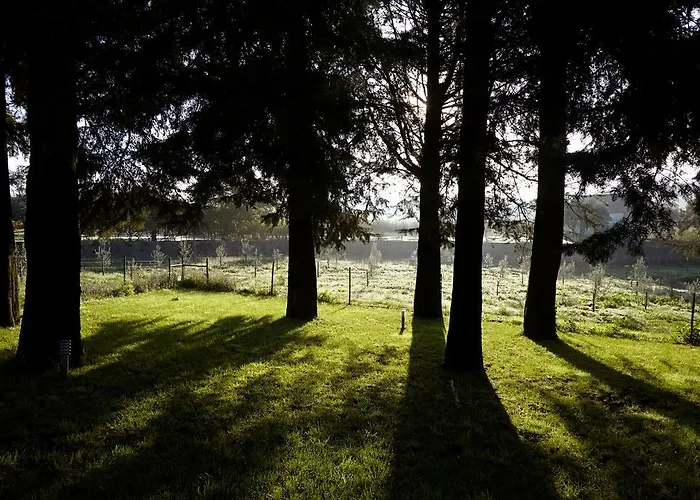 カントリーハウス Quinta Do Sobral フィゲイロー・ドス・ヴィーニョス