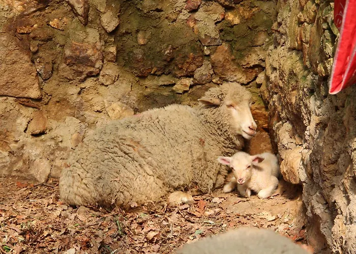 カントリーハウス Quinta Do Sobral